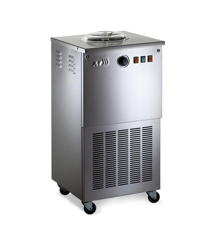 Ice cream maker deals professional