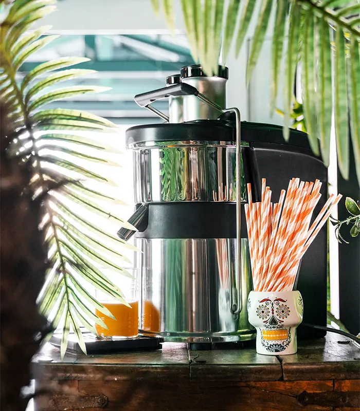 Ceado CP150 Cold-Press Juicer – Fortuna Coffee